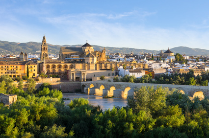 Ascensores Unifamiliares Córdoba